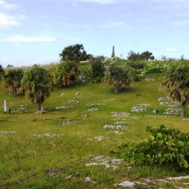 03. Overview