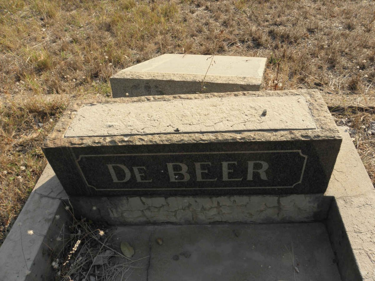 BEER de