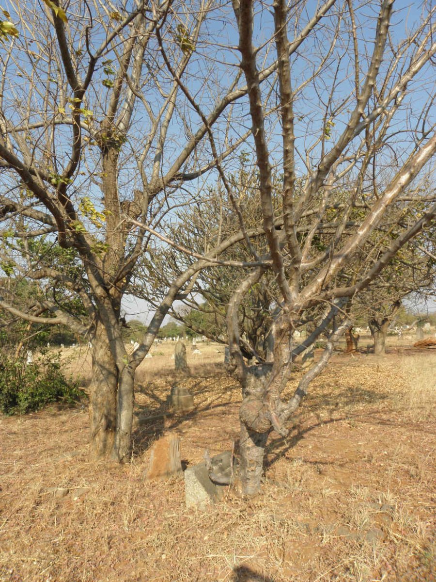 3. Overview