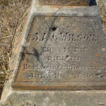 WILSON J.A.C. -1896