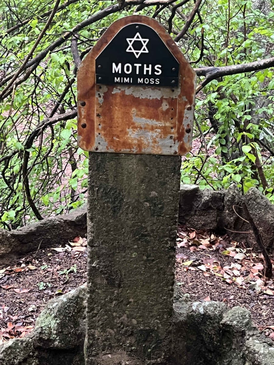 MOSS Mimi 